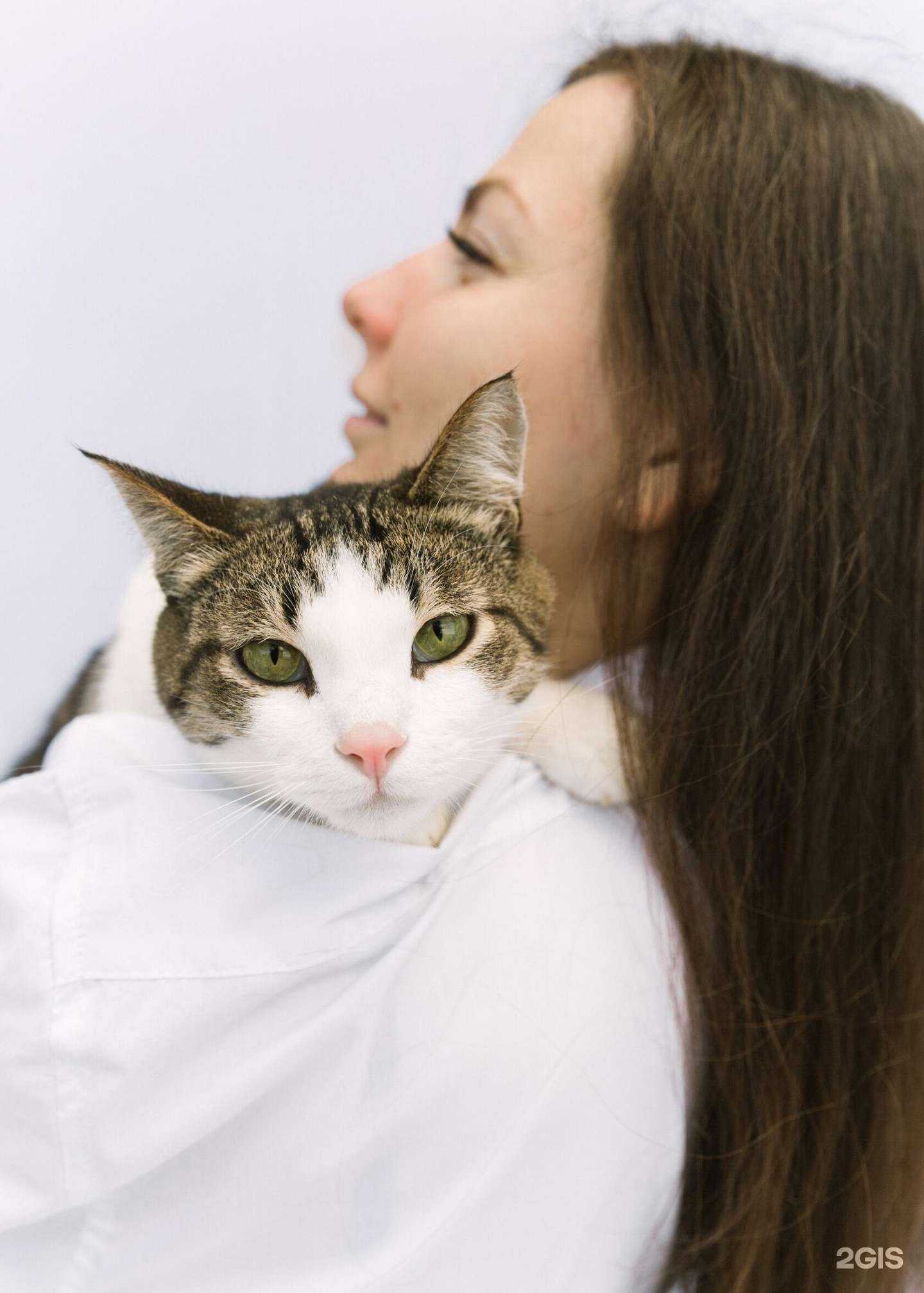 Отзывы на компанию Питомец в г. Пенза c фото