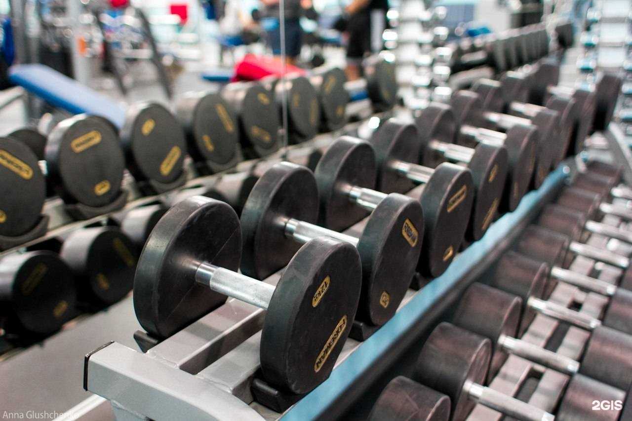 Отзывы на компанию Брайт фит в Мурманске c фото