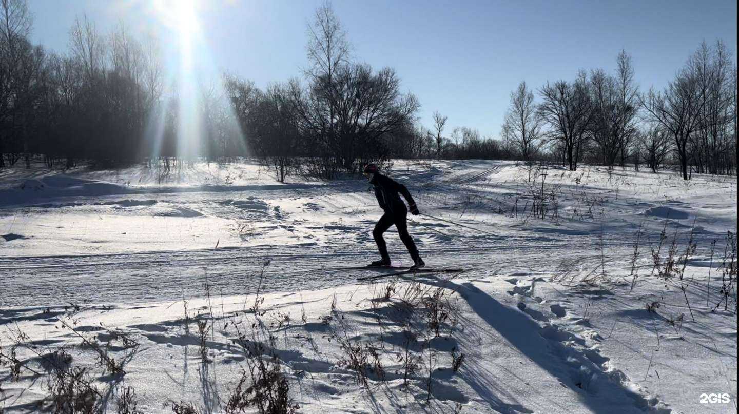 Отзывы на компанию Пункт проката беговых лыж в г. Хабаровск c фото