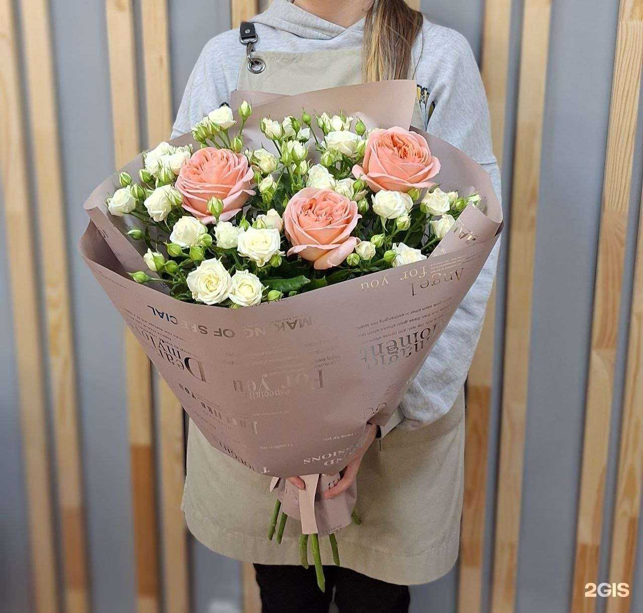 Отзывы на компанию Amsterdam в Владимире c фото