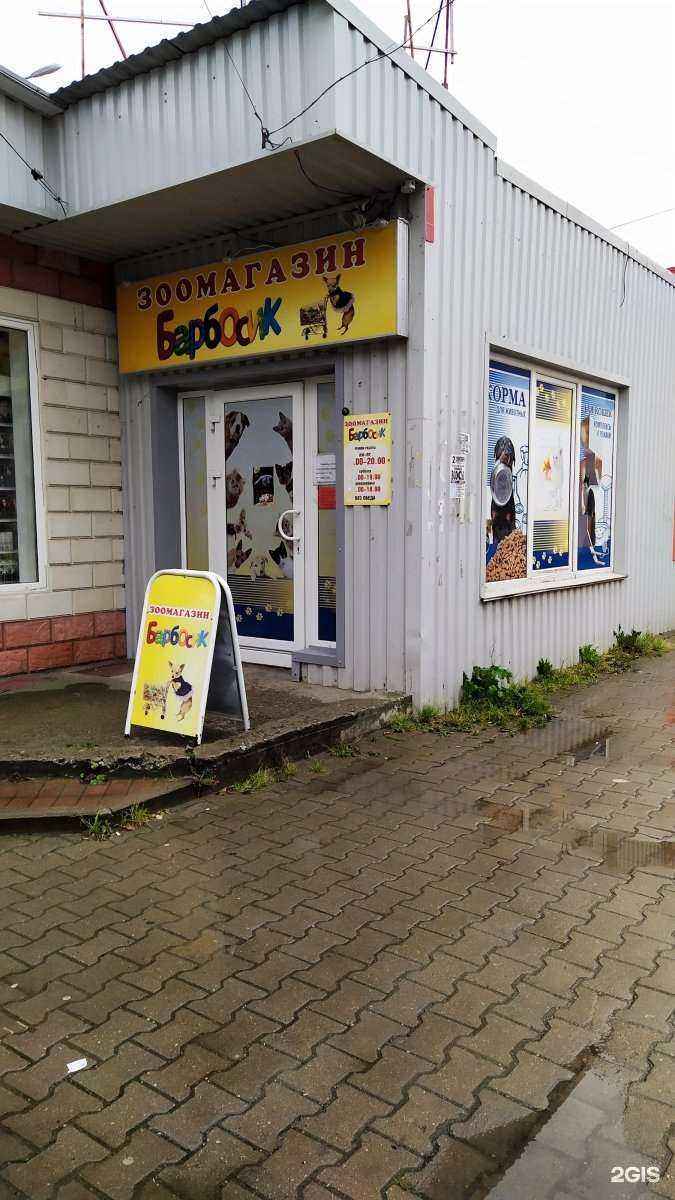 Отзывы на компанию Барбосик в г. Псков c фото