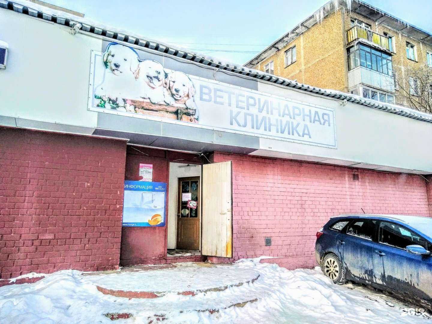 Отзывы на компанию Ветеринарная клиника в г. Орехово-Зуево c фото