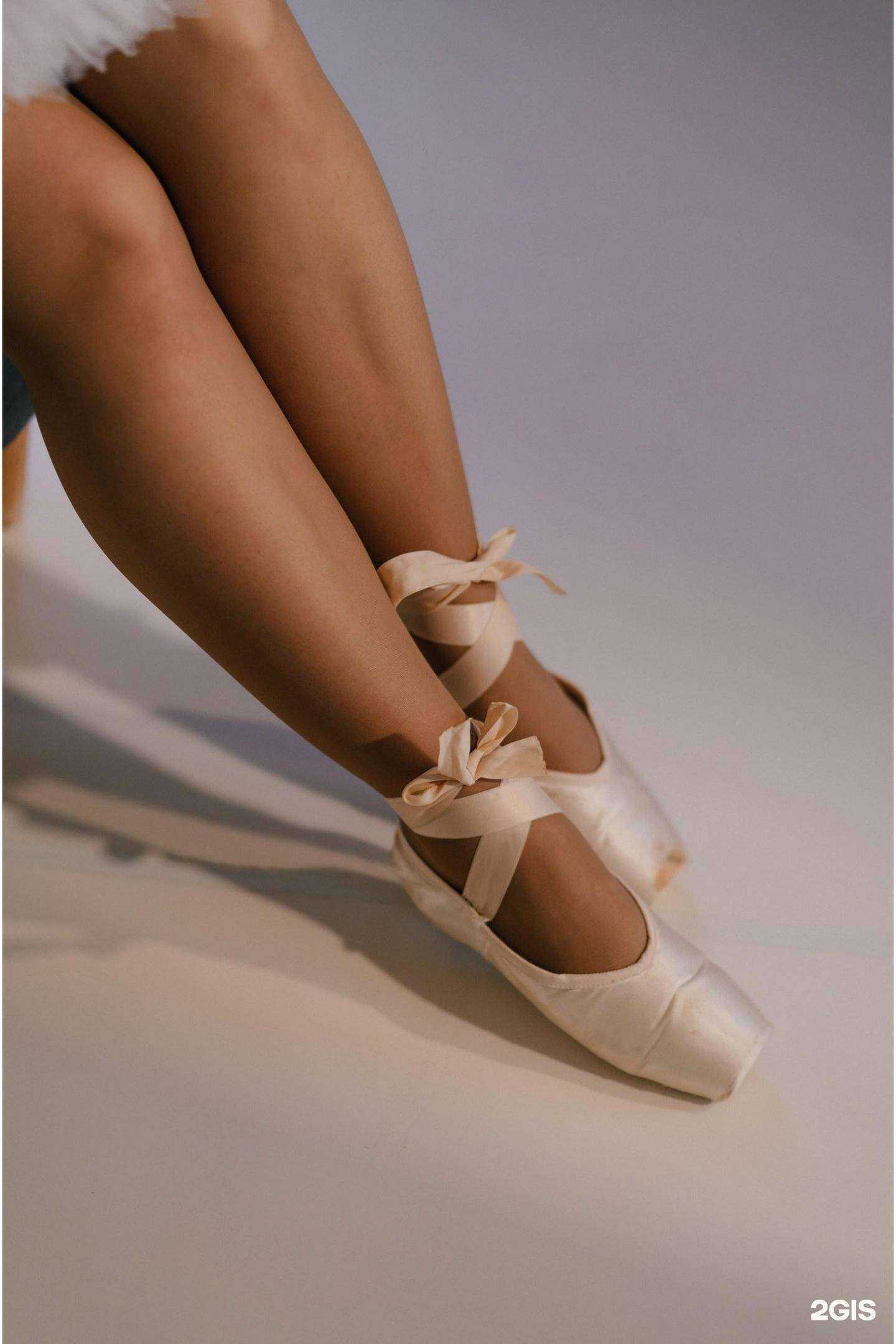 Отзывы на компанию Levita в г. Красноярск c фото