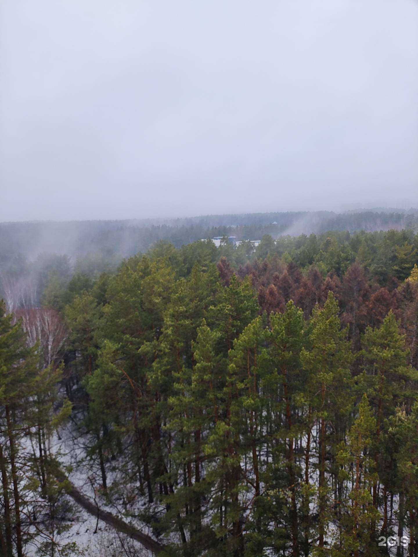 Отзывы на компанию Dao cacao pottery  в г. Новосибирск c фото