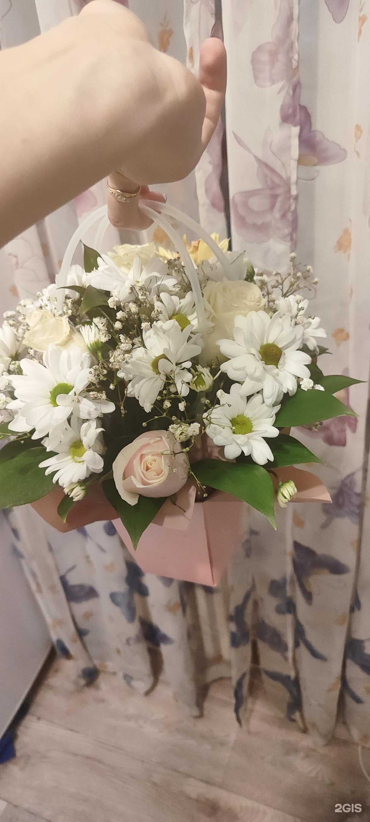 Отзывы на компанию Аура в г. Оренбург c фото