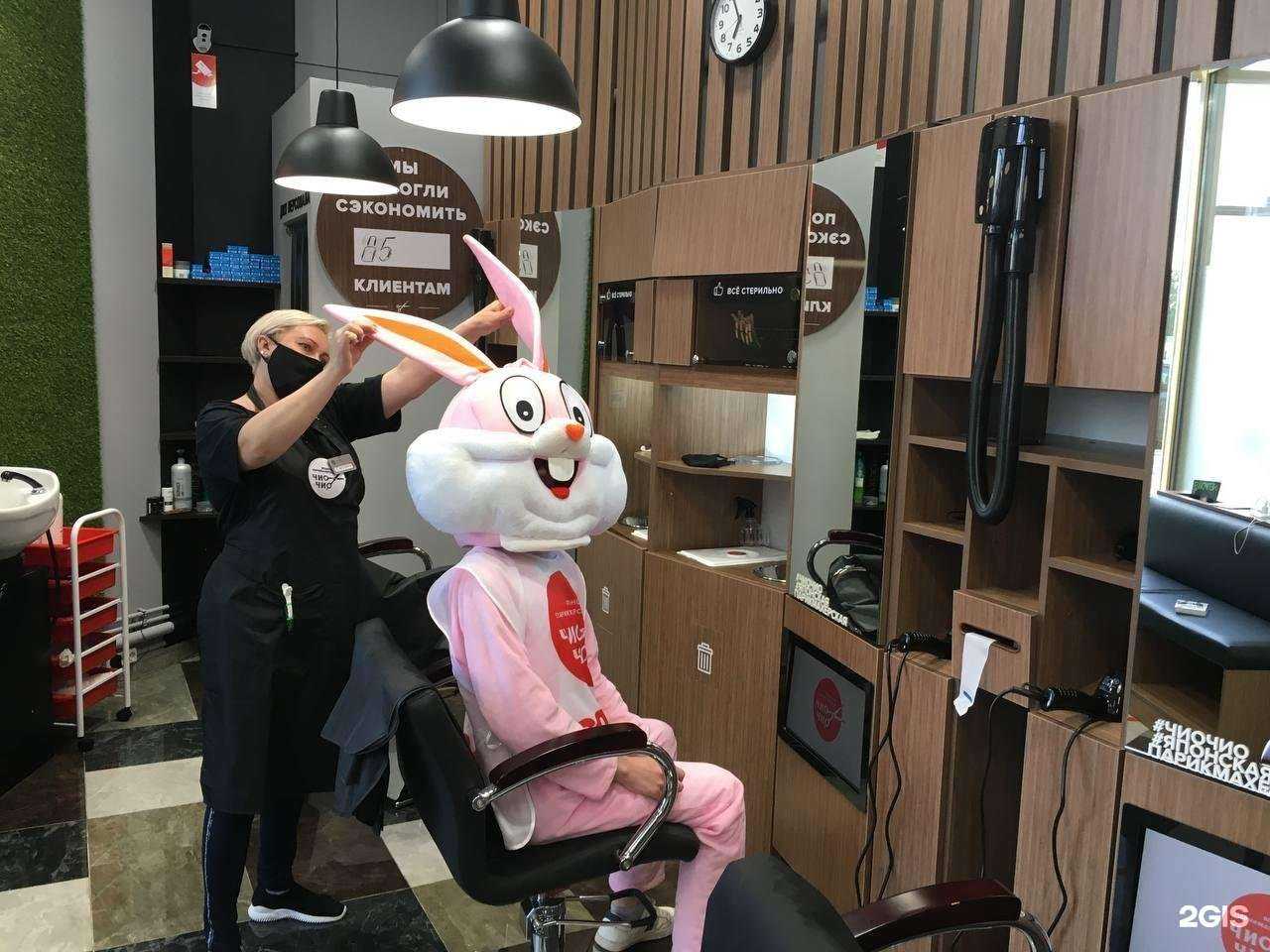 Отзывы на компанию Чио чио в г. Липецк c фото