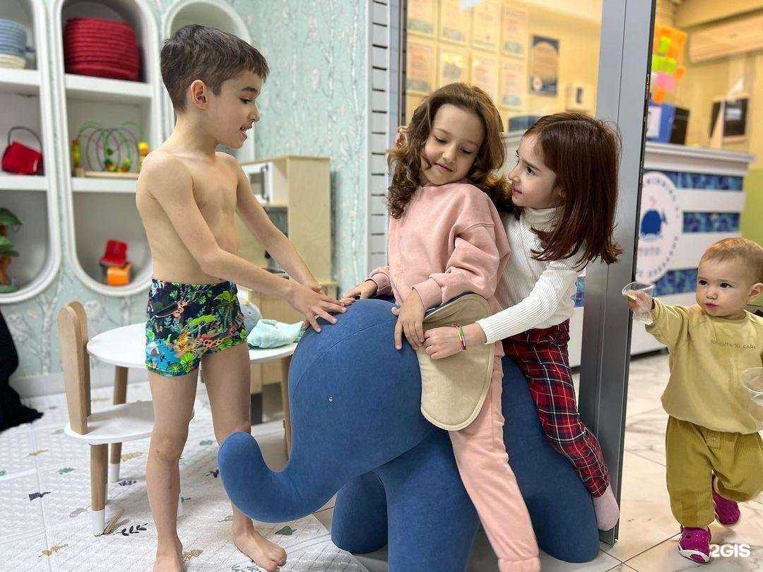 Отзывы на компанию Totoshka в Махачкале c фото