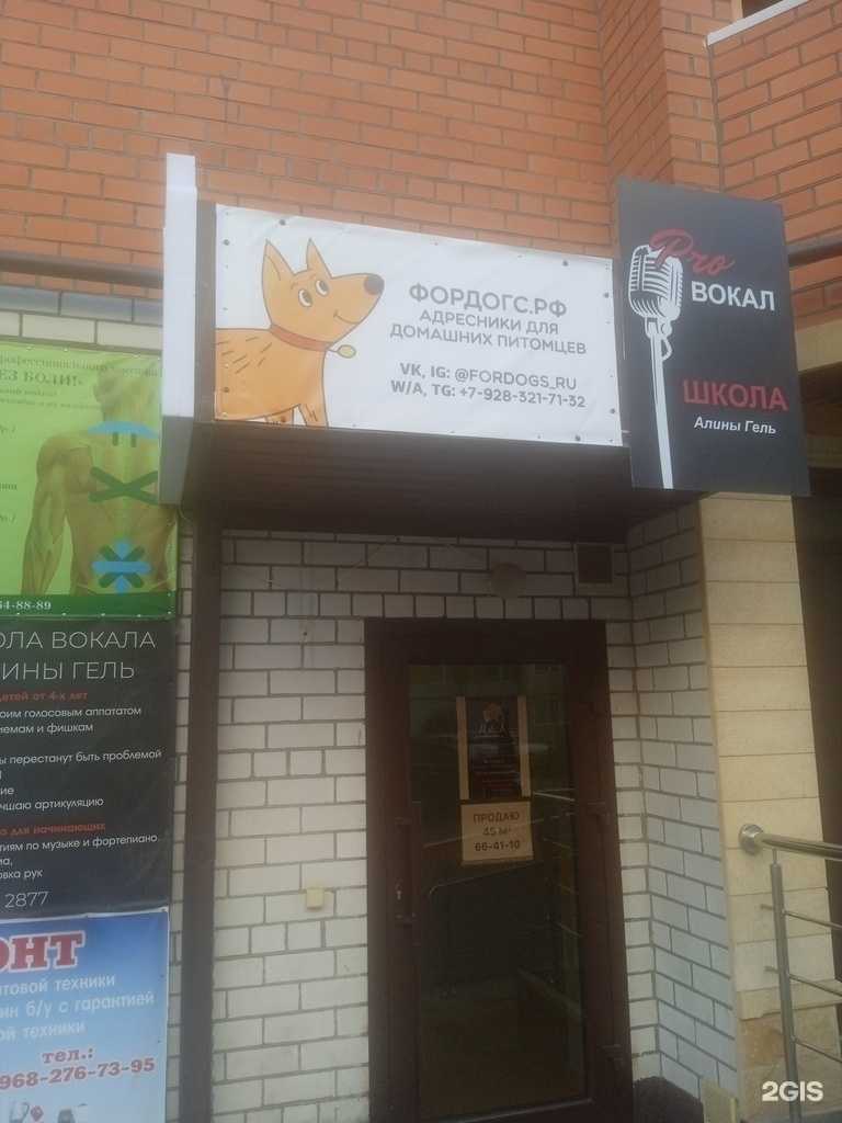 Отзывы на компанию Фордогс.РФ в Ставрополе c фото