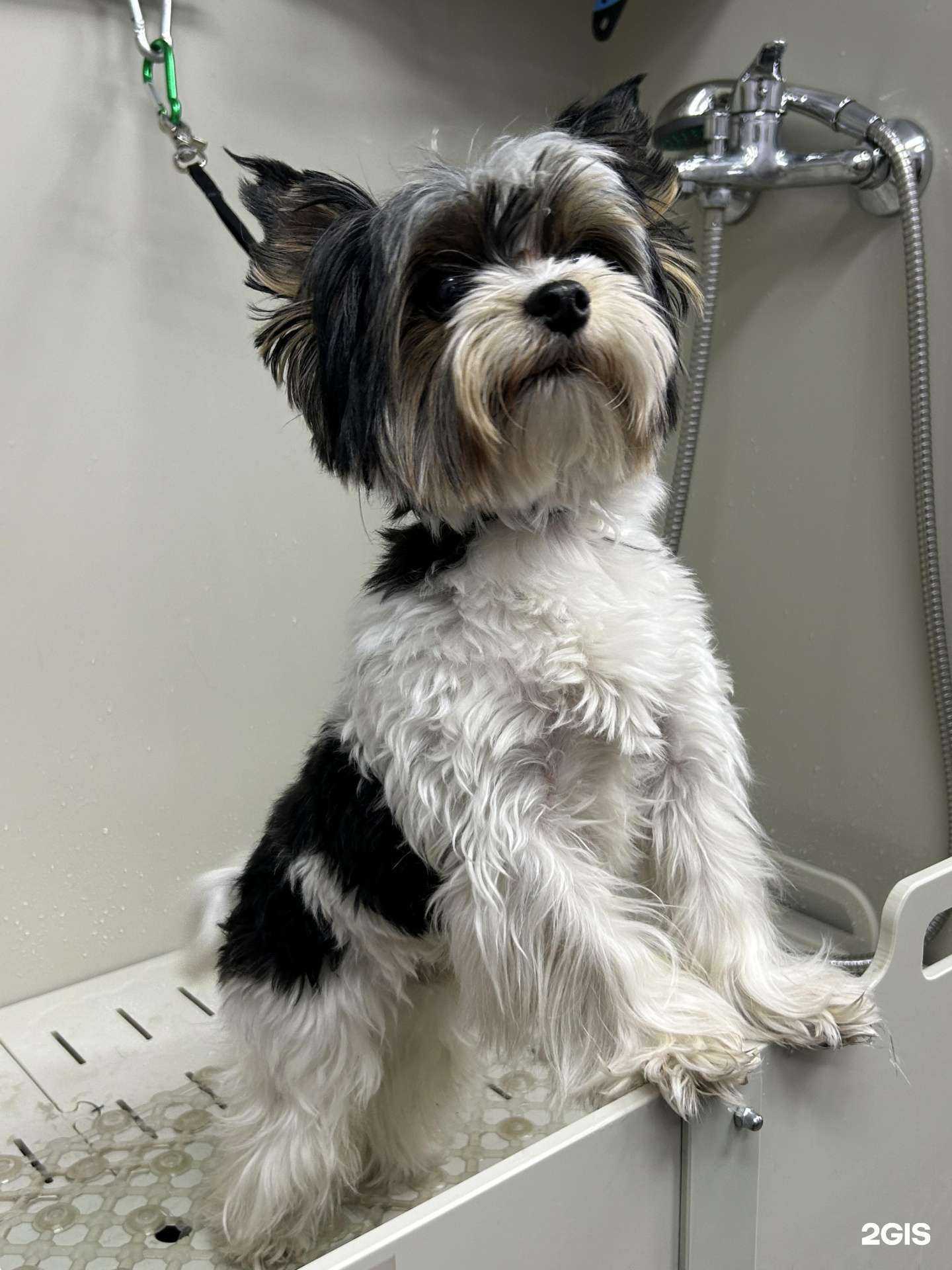 Отзывы на компанию Бравые ребята в г. Красноярск c фото