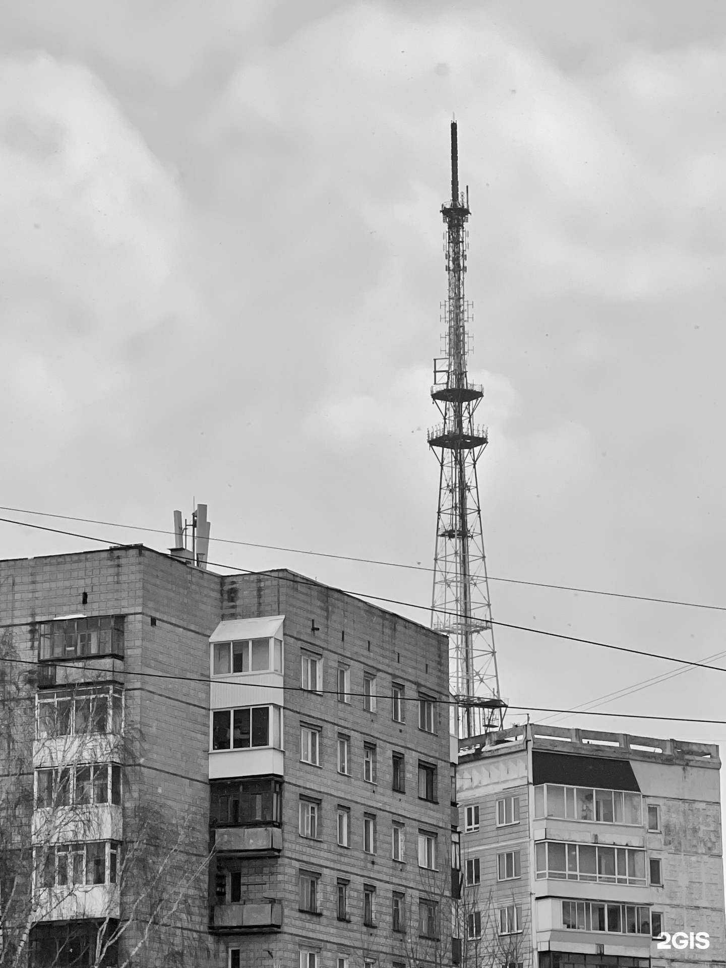 Отзывы на компанию Алоэ в Томске c фото - фотография 2 из 2