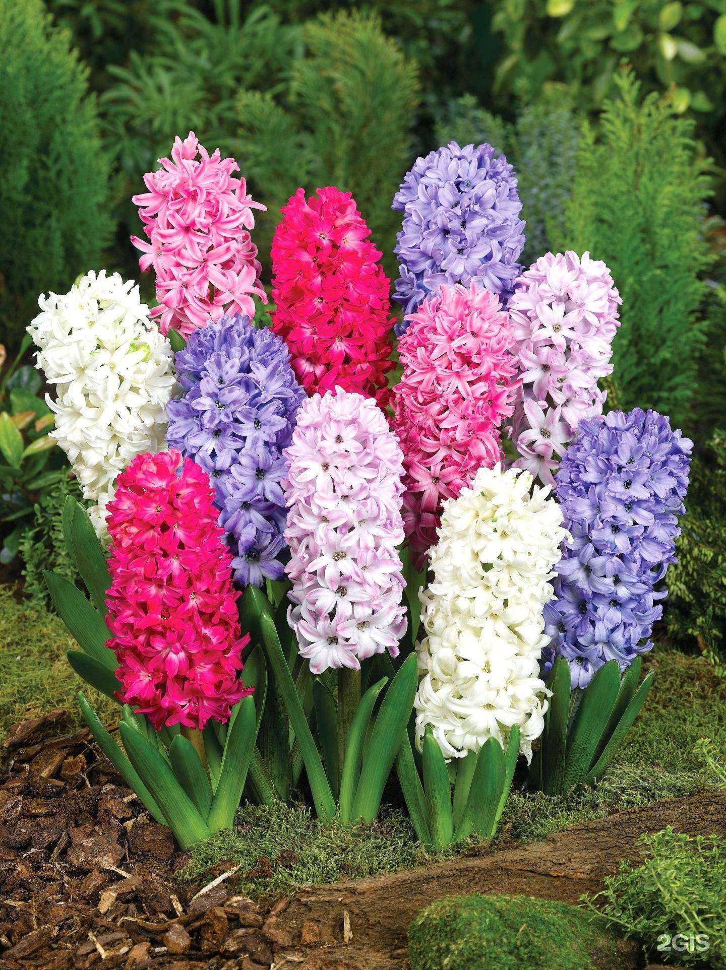 Отзывы на компанию Дом+Дача в г. Новокуйбышевск c фото