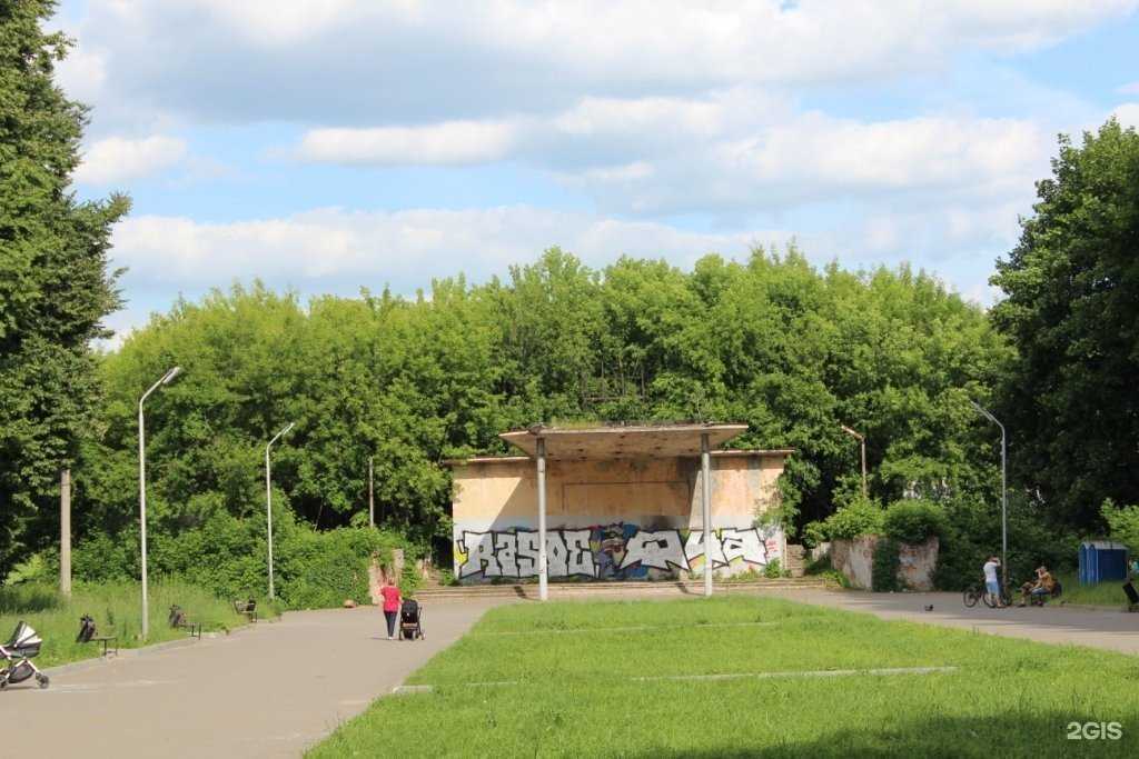 Отзывы на компанию Дитя джунглей в Рязани c фото - фотография 2 из 2