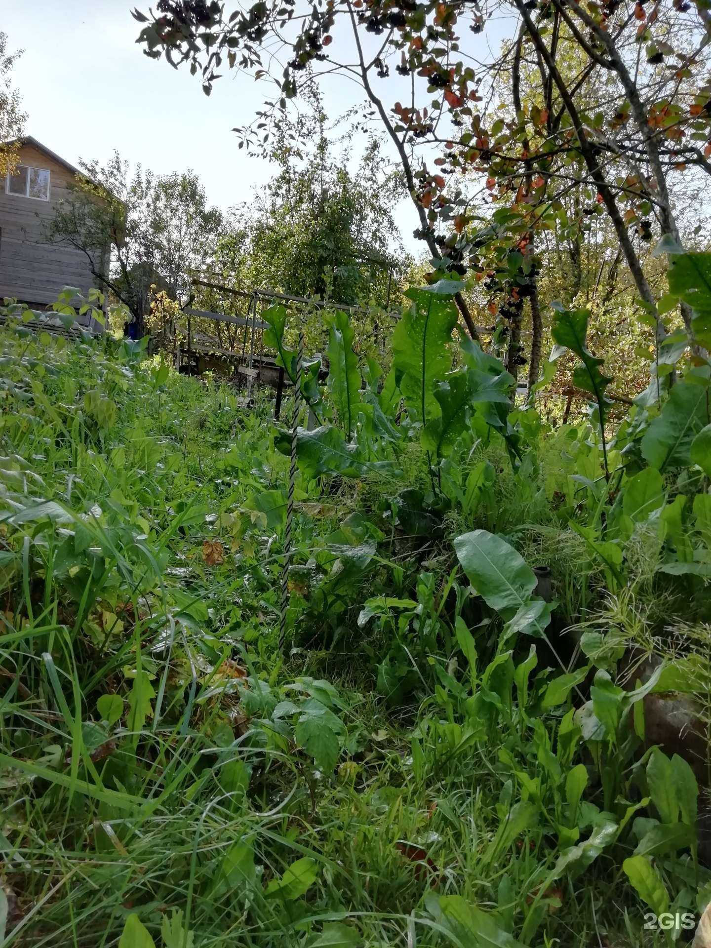 Отзывы на компанию Кадастровый инженер Плотко Е.А. в г. Пермь c фото