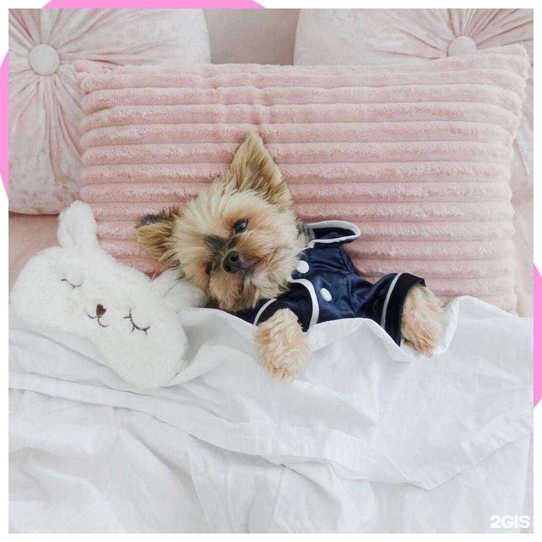 Отзывы на компанию Laser lime в г. Нижнекамск c фото