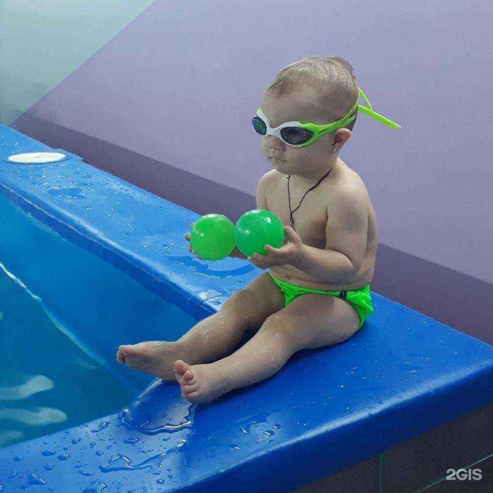 Отзывы на компанию Чемпион в Новосибирске c фото