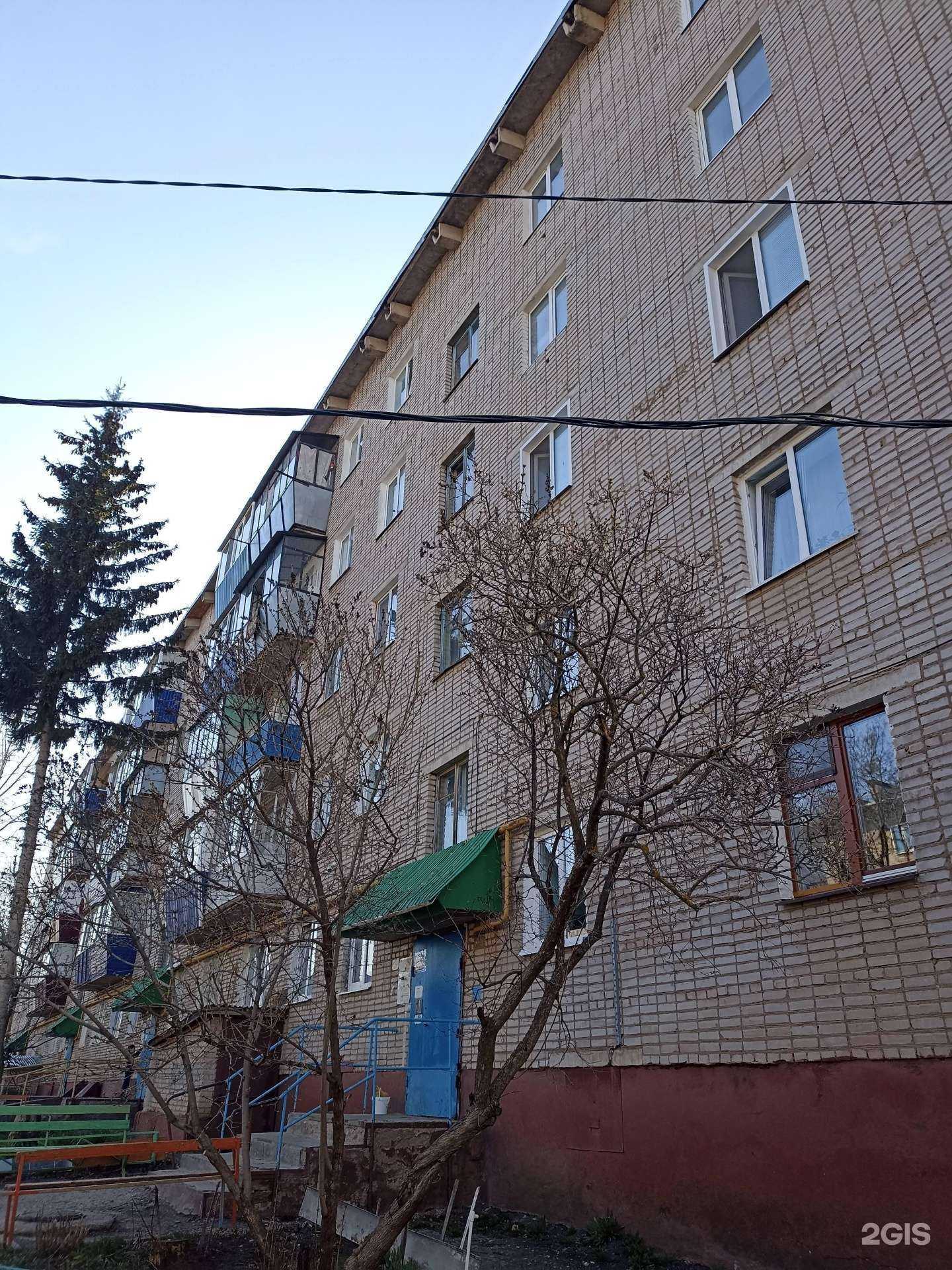 Отзывы на компанию ВетСемья в Лениногорске c фото