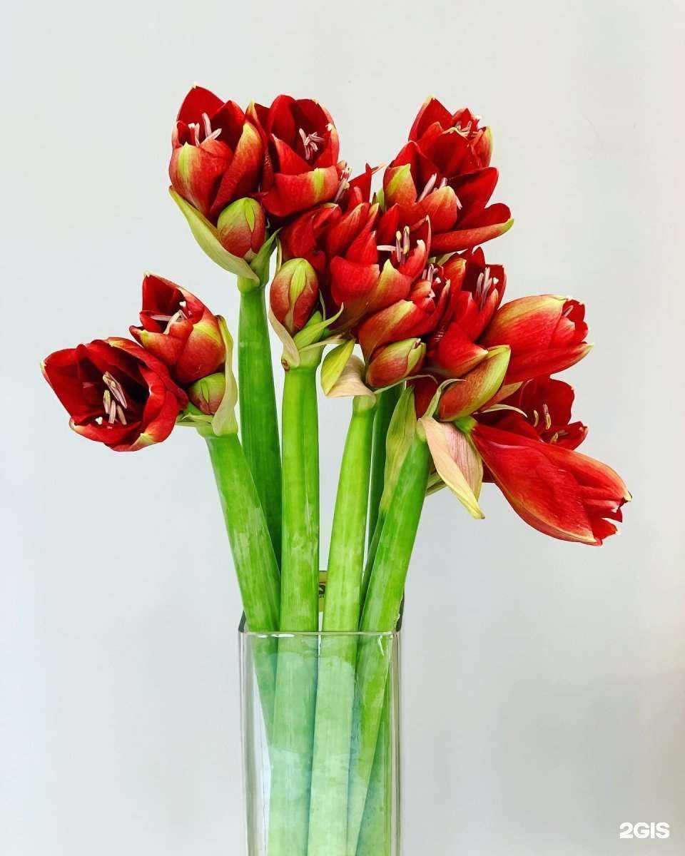 Отзывы на компанию Евро букет в г. Владивосток c фото