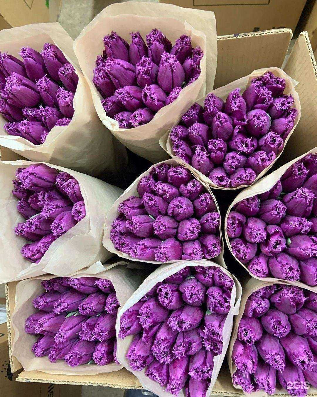 Отзывы на компанию Магазин-склад цветов в Ставрополе c фото