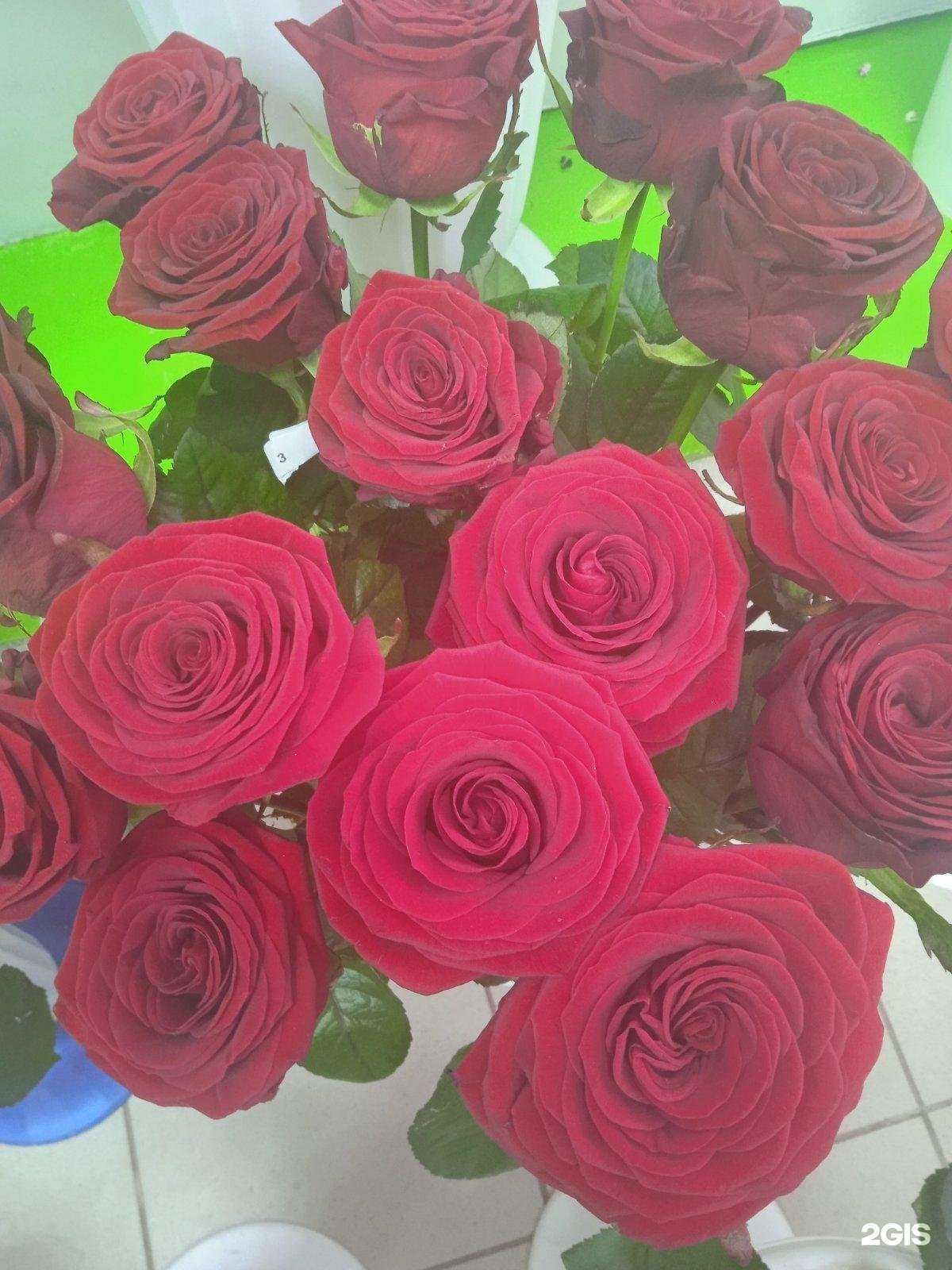 Отзывы на компанию Цветы для любимых в Перми c фото