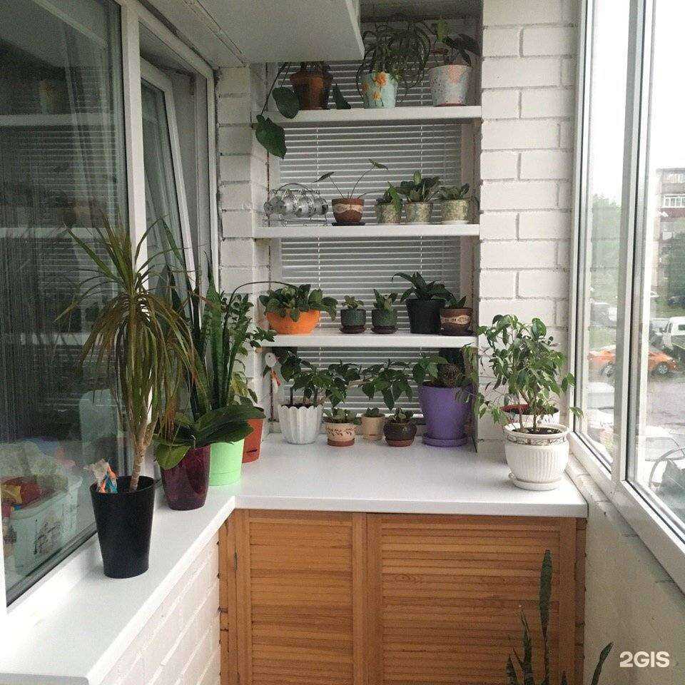 Отзывы на компанию Окна абсолют в Архангельске c фото