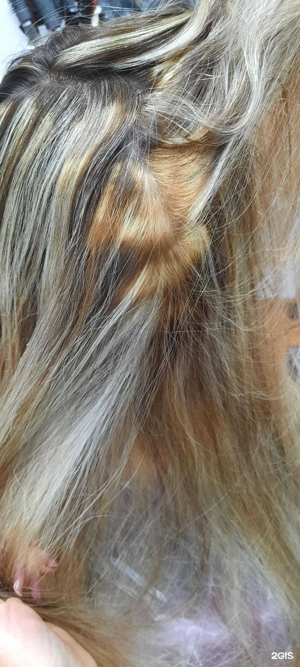 Отзывы на компанию Магнолия в Калининграде c фото