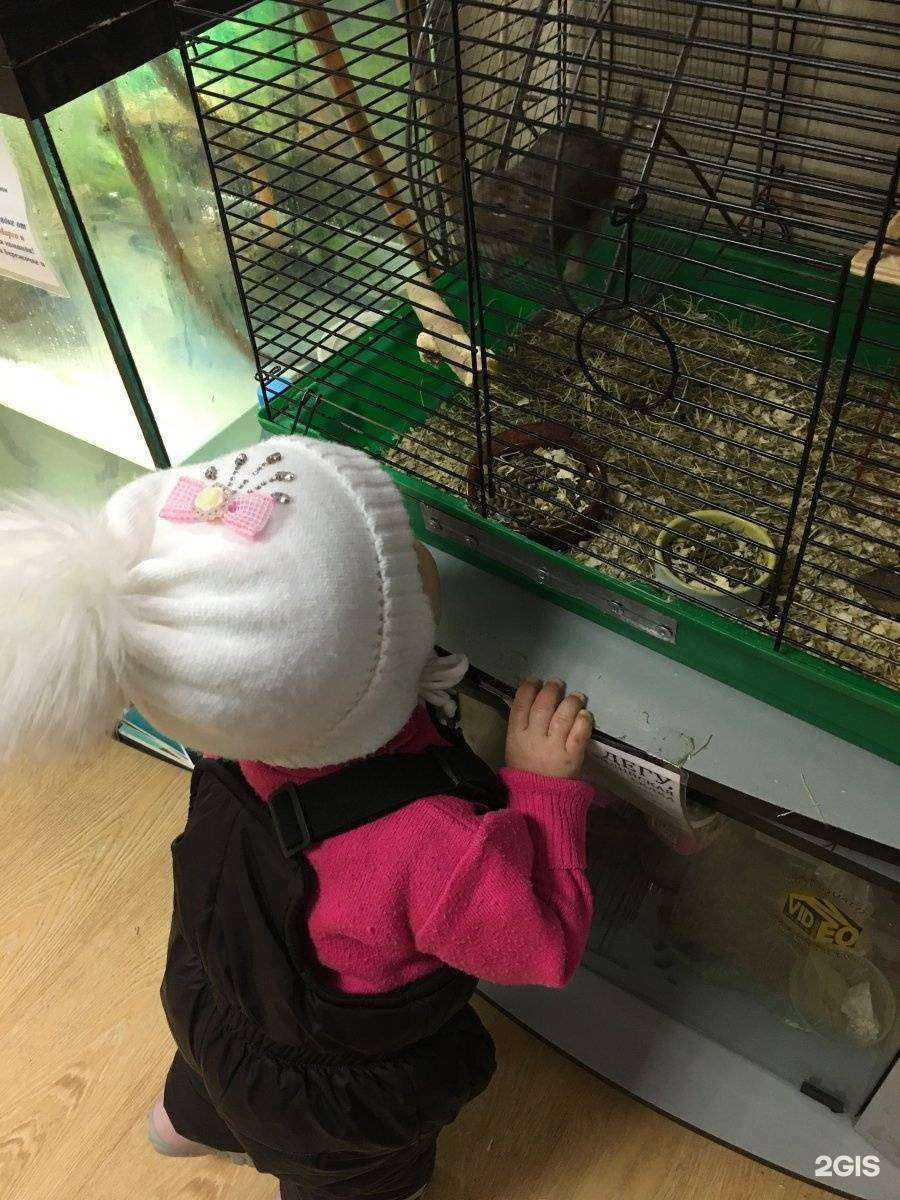 Отзывы на компанию Аквамарин Sunflower в Белгороде c фото