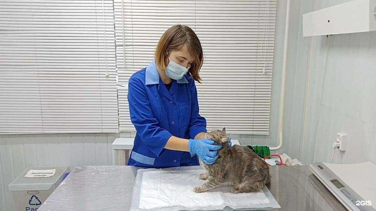 Отзывы на компанию АлексВет в Твери c фото