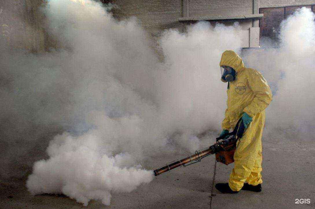 Отзывы на компанию ДезКлин в Челябинске c фото