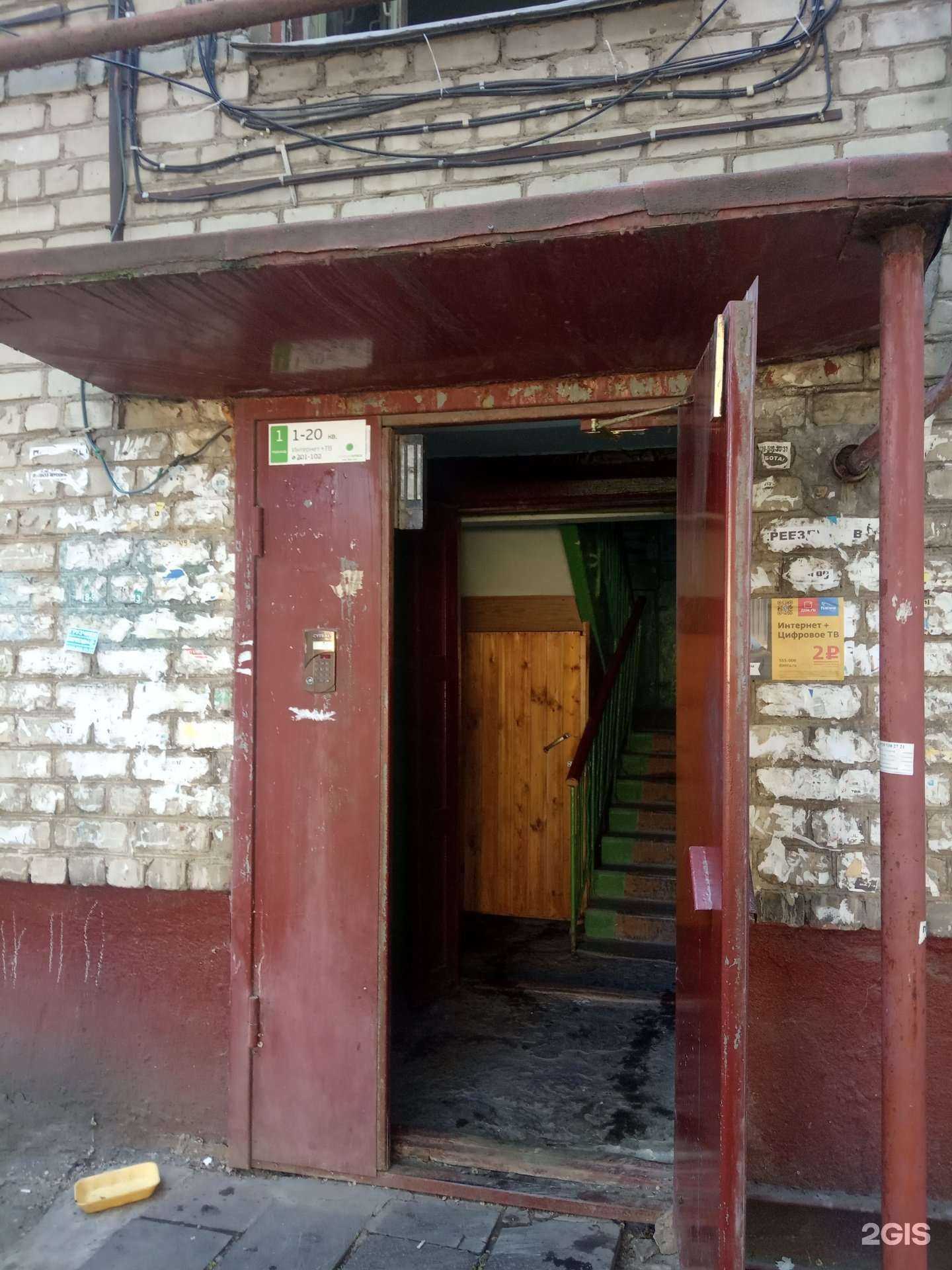 Отзывы на компанию Пушистый модник в Липецке c фото - фотография 2 из 2