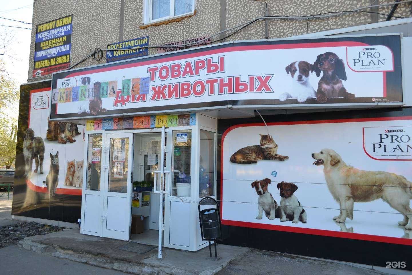 Отзывы на компанию Зоомагазин в Волгограде c фото