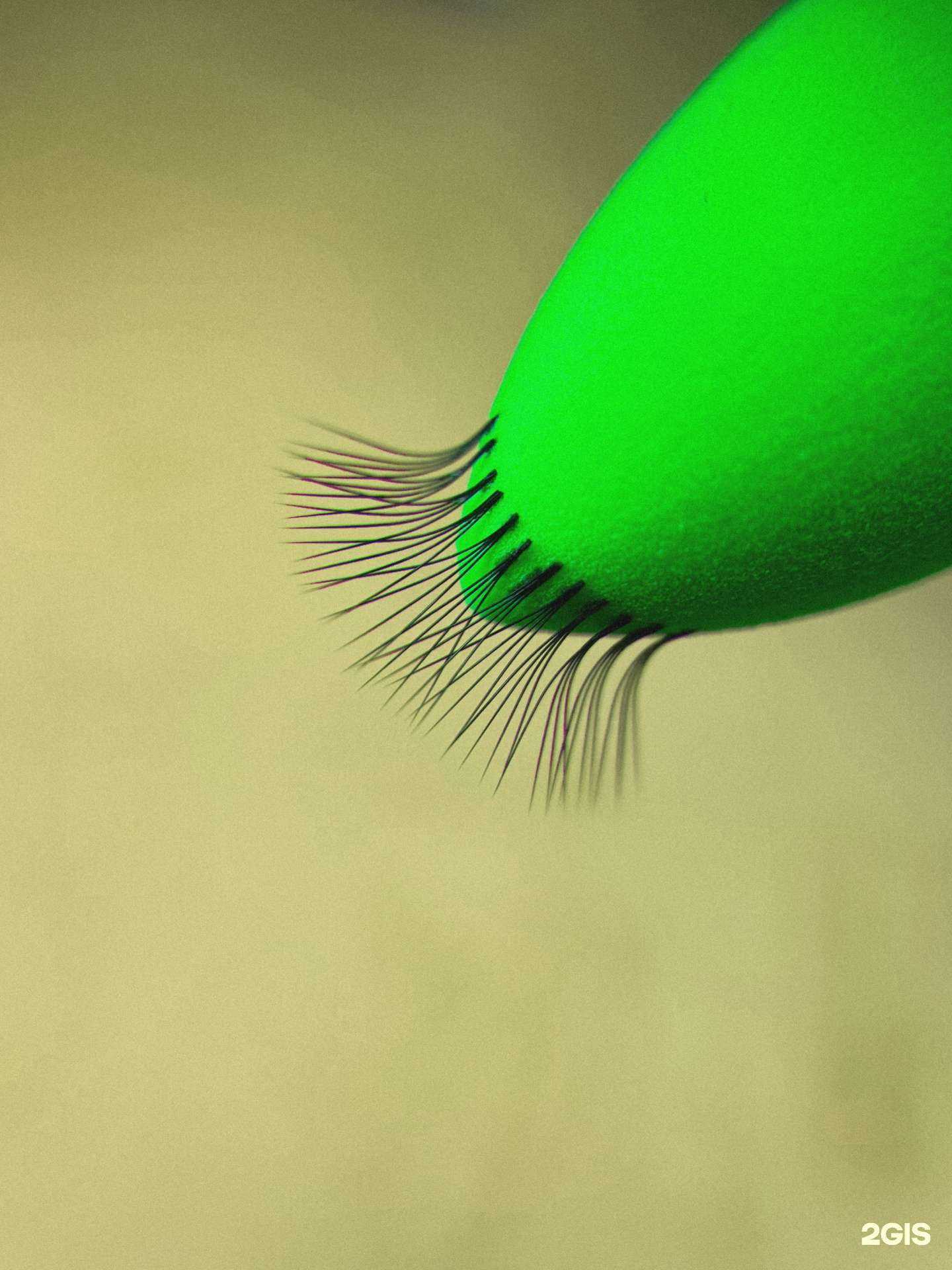 Отзывы на компанию Не сходи с ума, сходи на ресницы в Самаре c фото