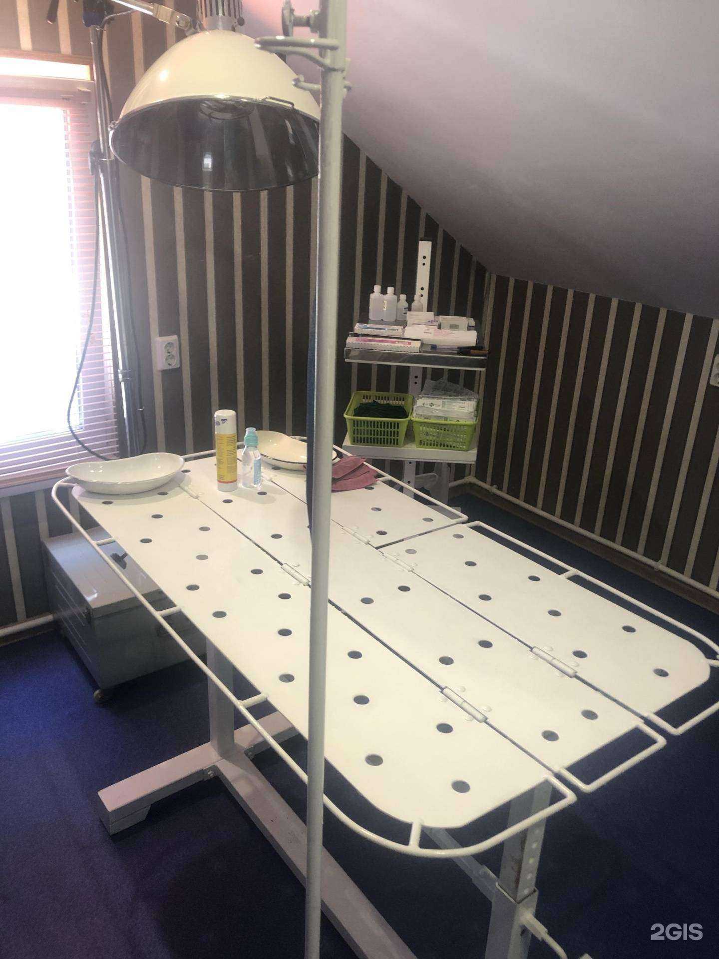 Отзывы на компанию Леопольд в Самаре c фото