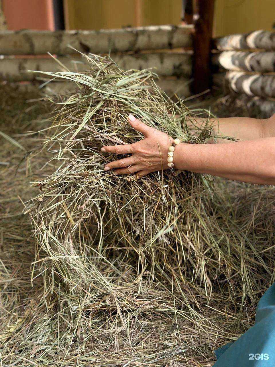 Отзывы на компанию Усадьба Лукоморье в Оренбурге c фото