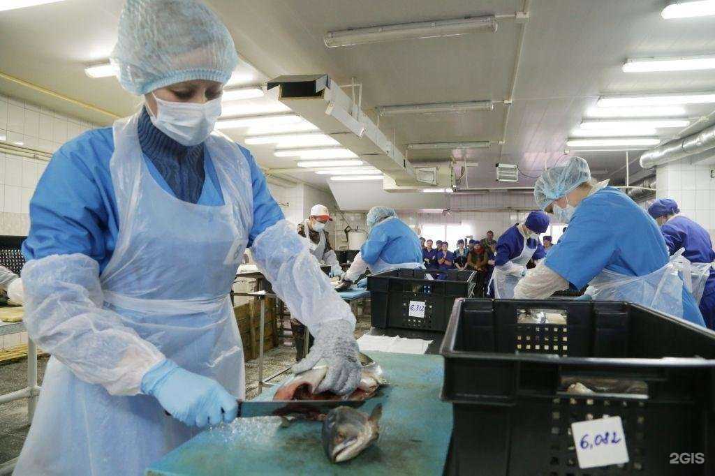 Отзывы на компанию Золотая рыбка в Кургане c фото