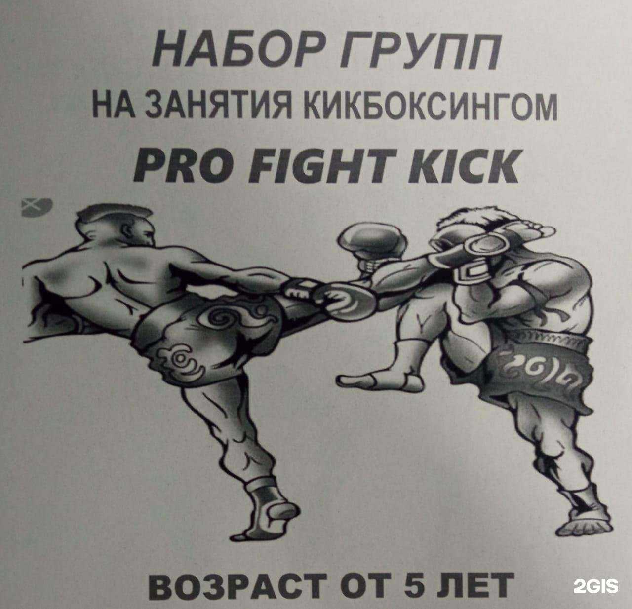 Отзывы на компанию Pro Fight Kick в г. Казань c фото