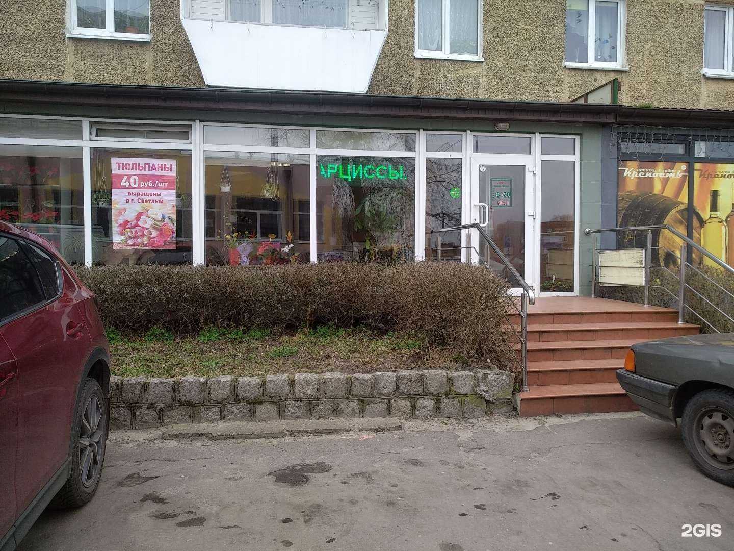 Отзывы на компанию Роза в Светлом c фото - фотография 2 из 2