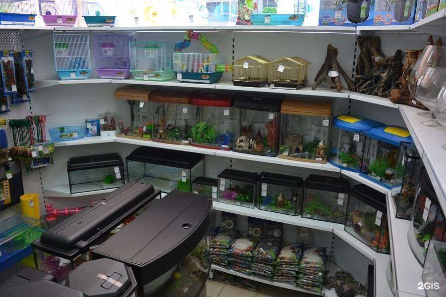 Отзывы на компанию Lucky hamster в Набережных Челнах c фото