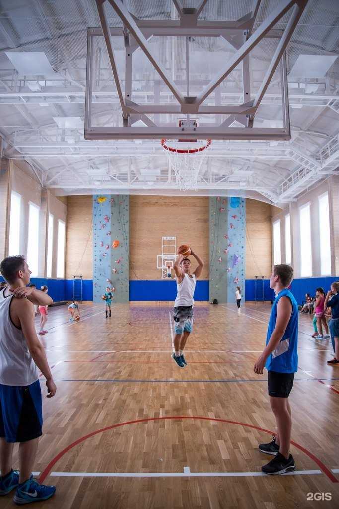 Отзывы на компанию Папилон в Миассе c фото