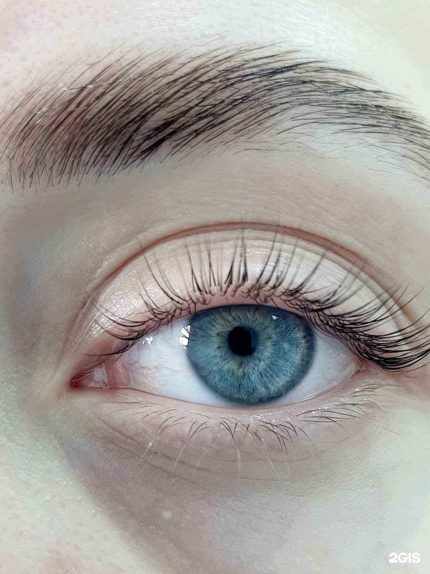 Отзывы на компанию Студия депиляции и ламинирования ресниц в Красноярске c фото