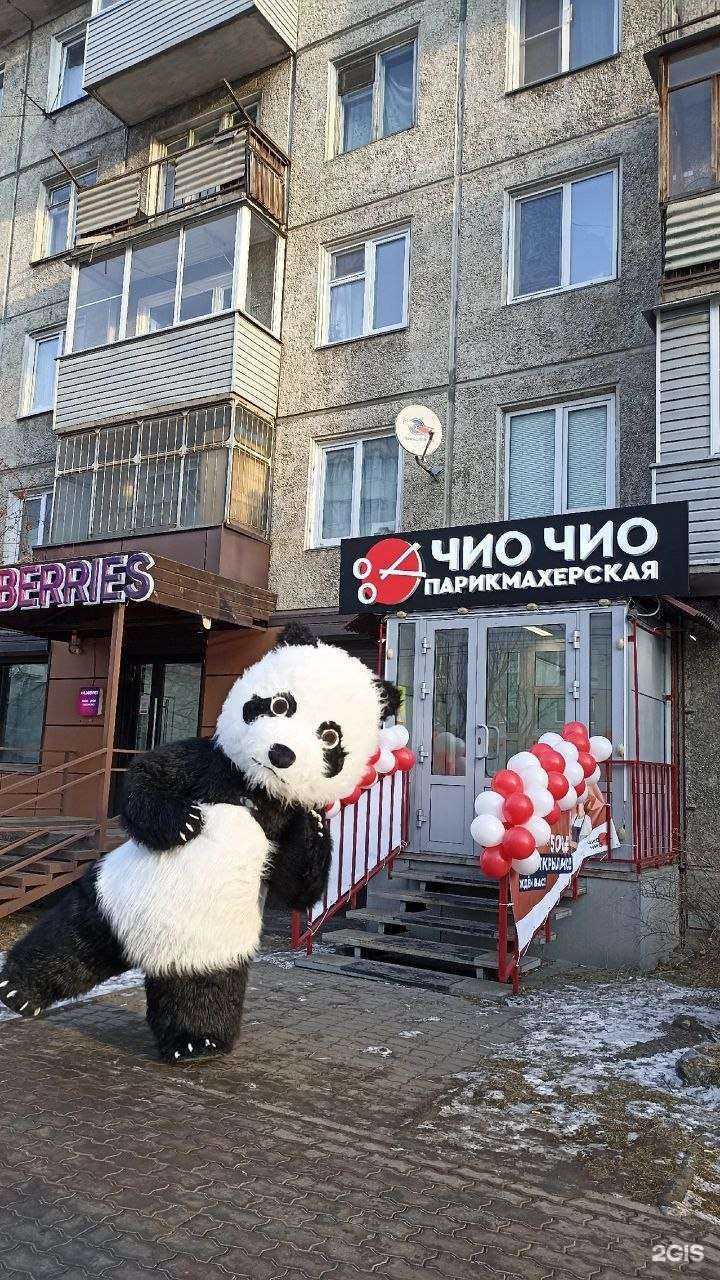 Отзывы на компанию Чио Чио в Красноярске c фото