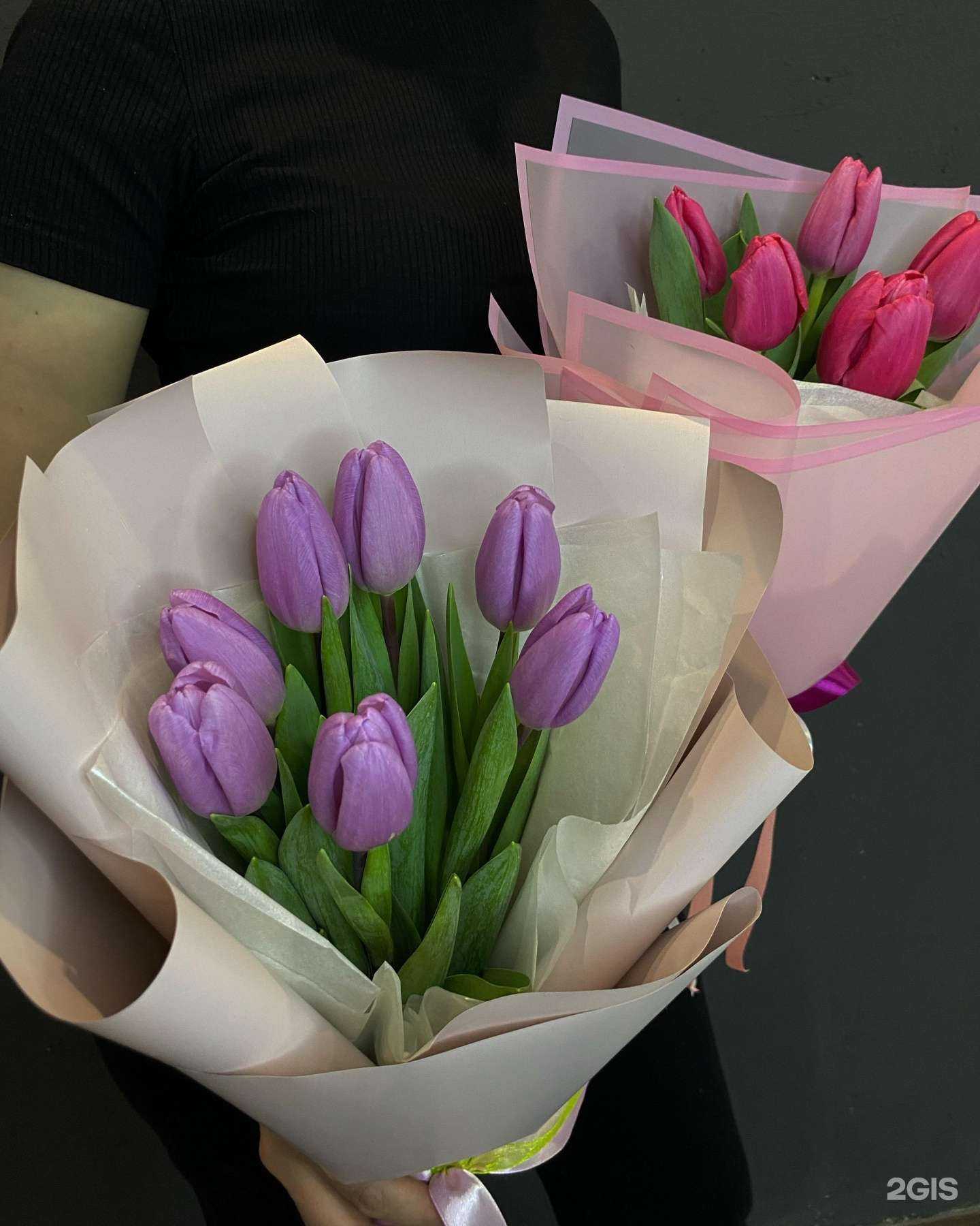 Отзывы на компанию Vog в Сургуте c фото