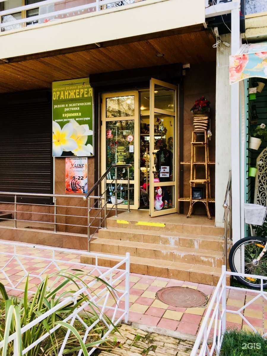 Отзывы на компанию Оранжерея в Сочи c фото