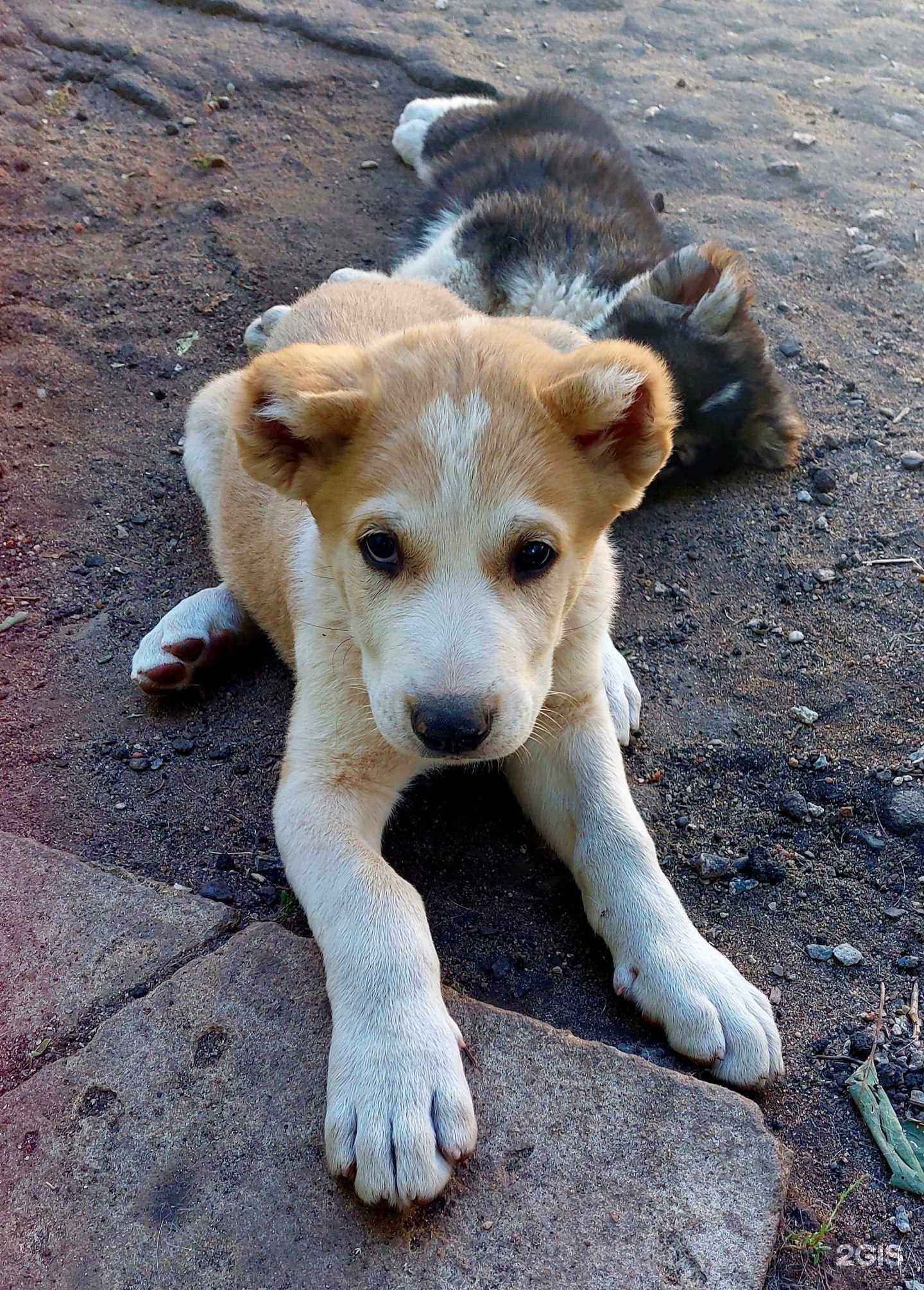 Отзывы на компанию Лидер в Воронеже c фото