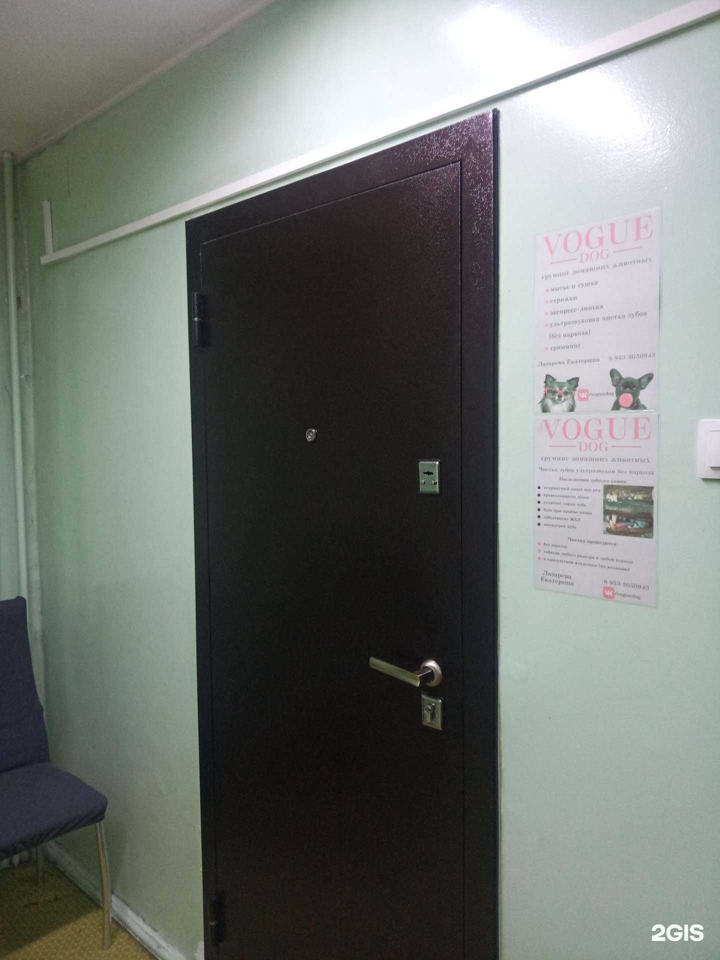 Отзывы на компанию Vogue dog в г. Апатиты c фото