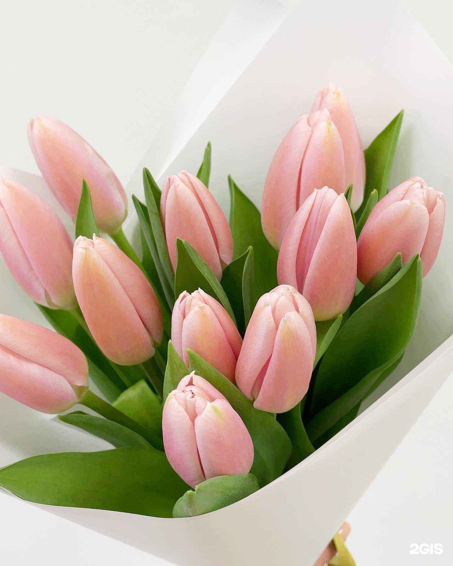 Отзывы на компанию la bouquet в г. Волгоград c фото