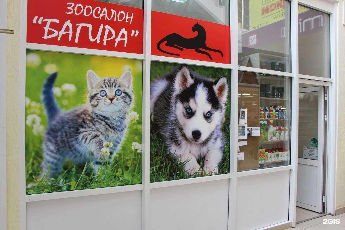 Отзывы на компанию Багира в г. Уфа c фото