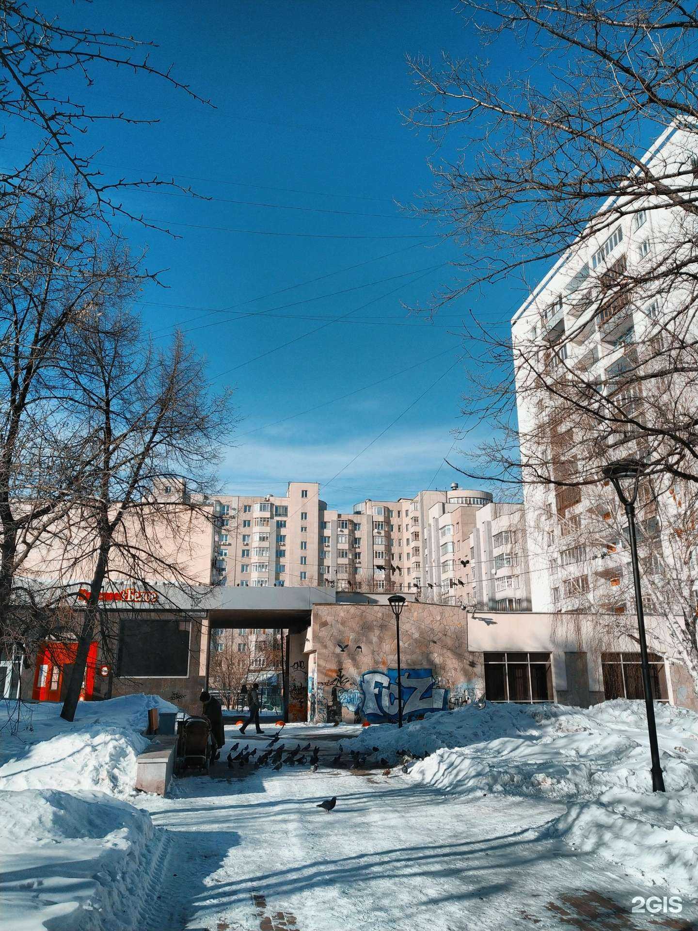 Отзывы на компанию Кинезиолог в Челябинске c фото