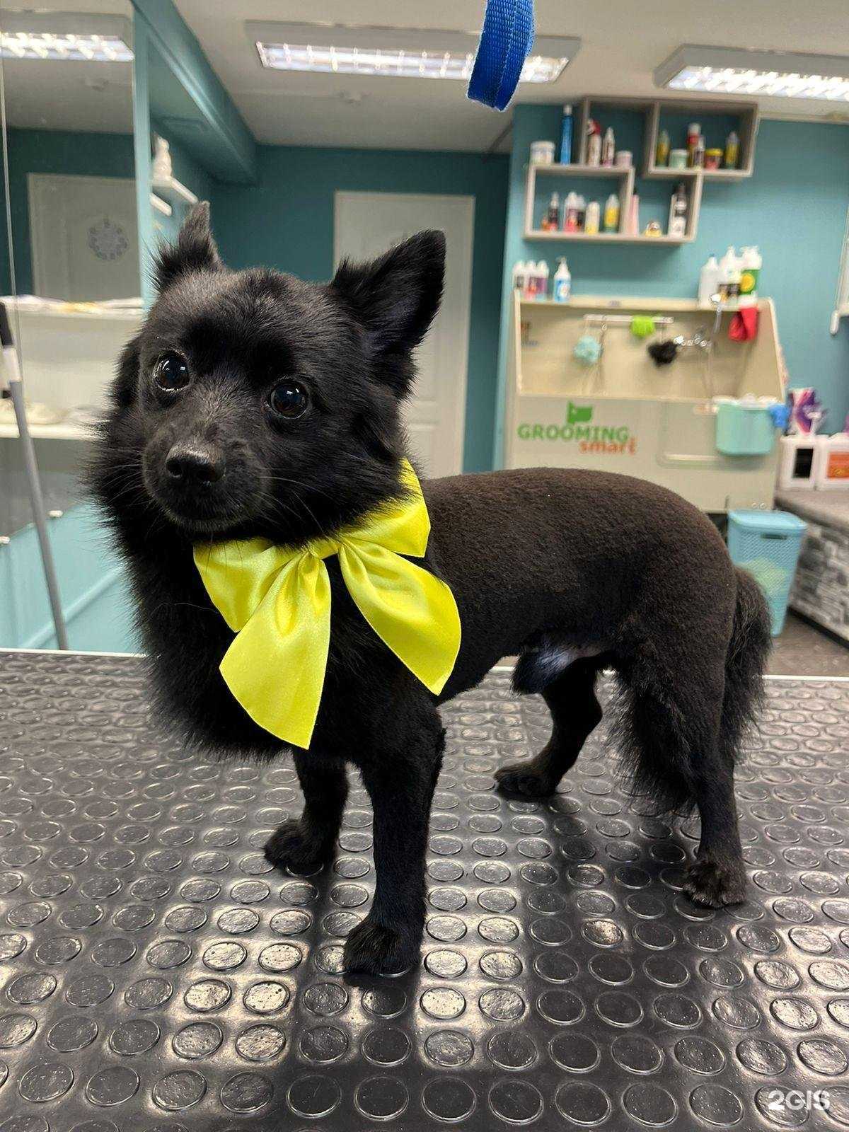 Отзывы на компанию Мишель в г. Кострома c фото