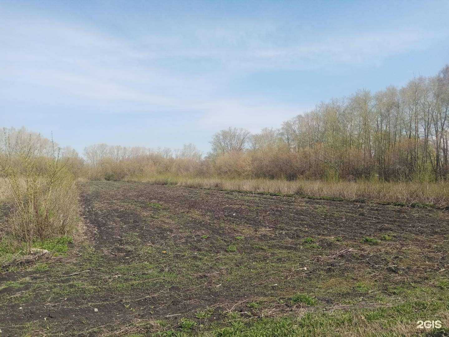 Отзывы на компанию Стерлитамакский плодопитомнический совхоз в Стерлитамаке c фото