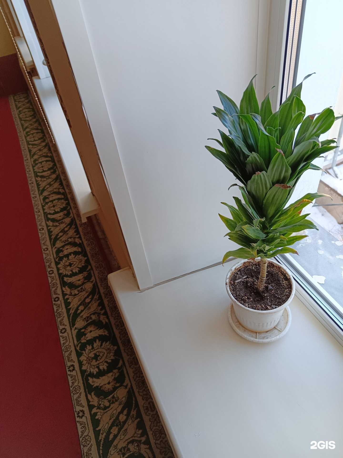 Отзывы на компанию Смоленская областная универсальная научная библиотека им. А.Т. Твардовского в г. Смоленск c фото